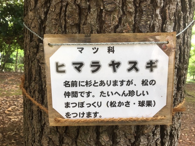 13C3083D-44E9-49AE-9CF2-B887789629C8.jpeg