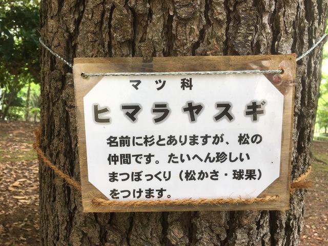 1F0CEE60-7233-41E4-B9DE-609F5A32511E.jpeg