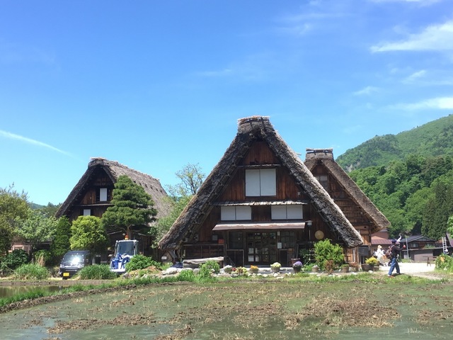4FDCE152-FEEF-401F-BC80-50ACEB651E84.jpeg