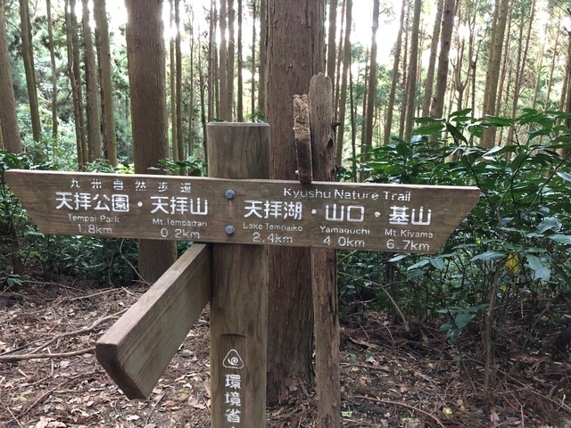 6D8594E6-79F6-42BB-9CBB-3733024D8B9B.jpeg