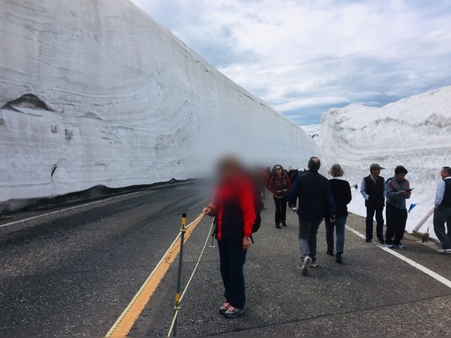 AA93D449-7457-4467-ABD6-6277D7D59921.jpeg