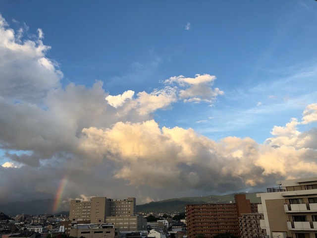 E239F5C2-3C7C-42FC-8F24-6C30A58AB635.jpeg