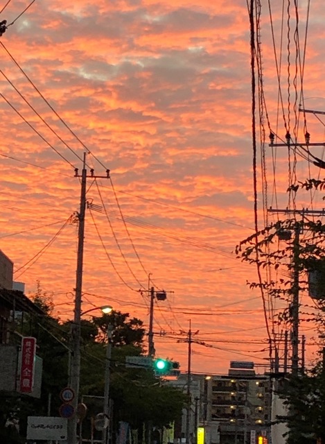 E403F97D-16F7-4AC3-92C3-781D8E58B814.jpeg