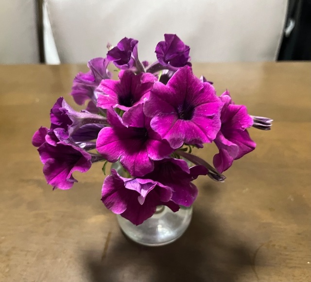 IMG_2508.jpeg