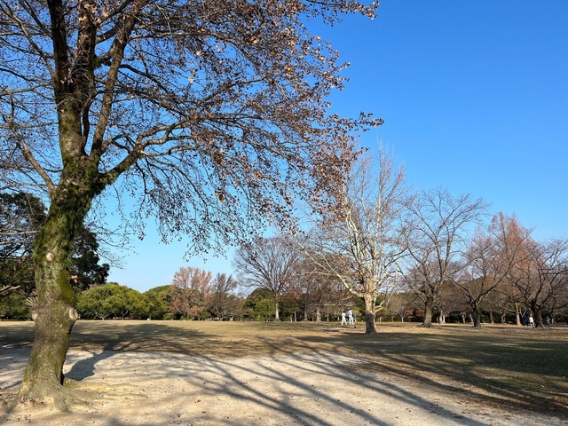 IMG_3429.jpeg
