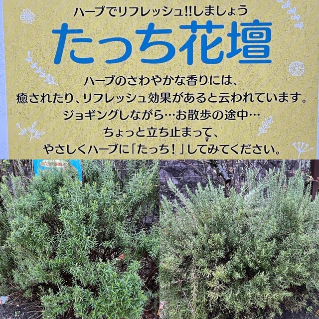 IMG_3841-a164a.jpeg