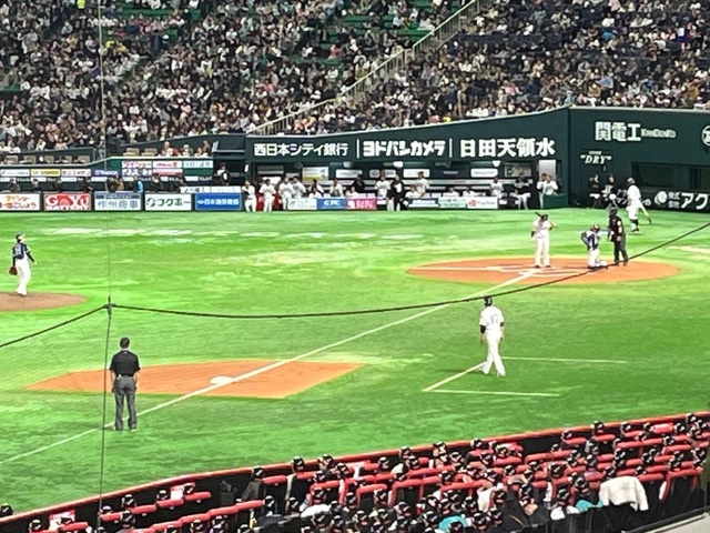 IMG_3858.jpeg