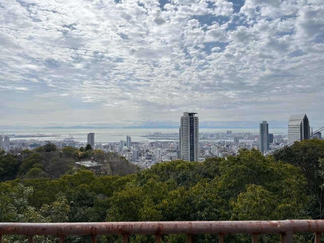 IMG_3900.jpeg
