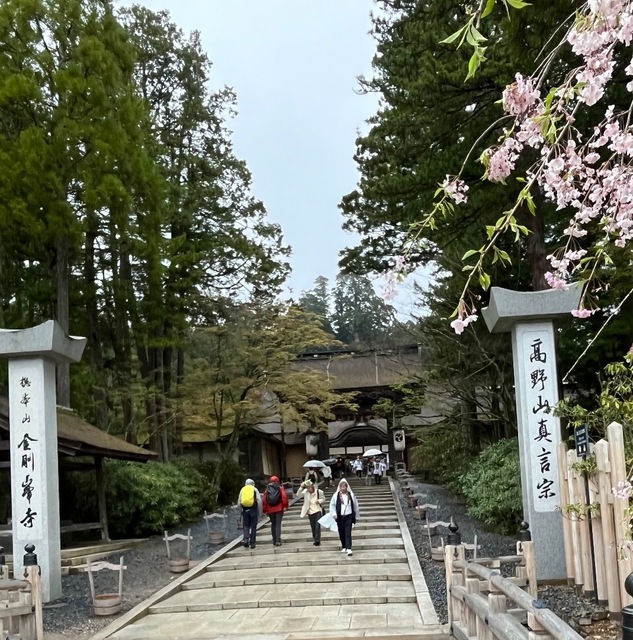 IMG_4021.jpeg
