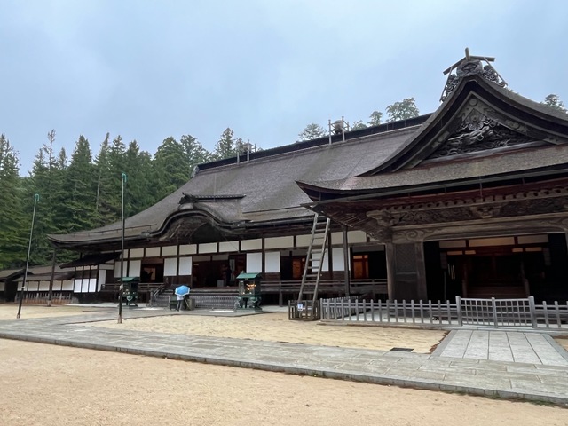 IMG_4023.jpeg