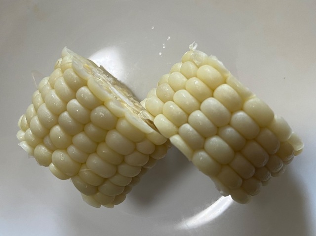 IMG_4240.jpeg