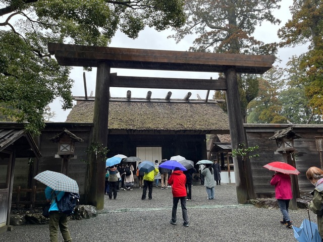 IMG_5164.jpeg