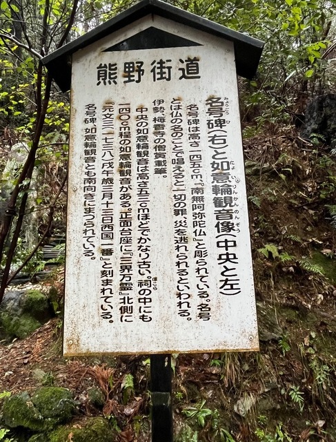 IMG_5179-b6980.jpeg